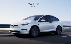 Model X